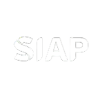 Sistema Integrado Aduanero de Pagos (SIAP)